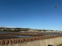 Shaldon
