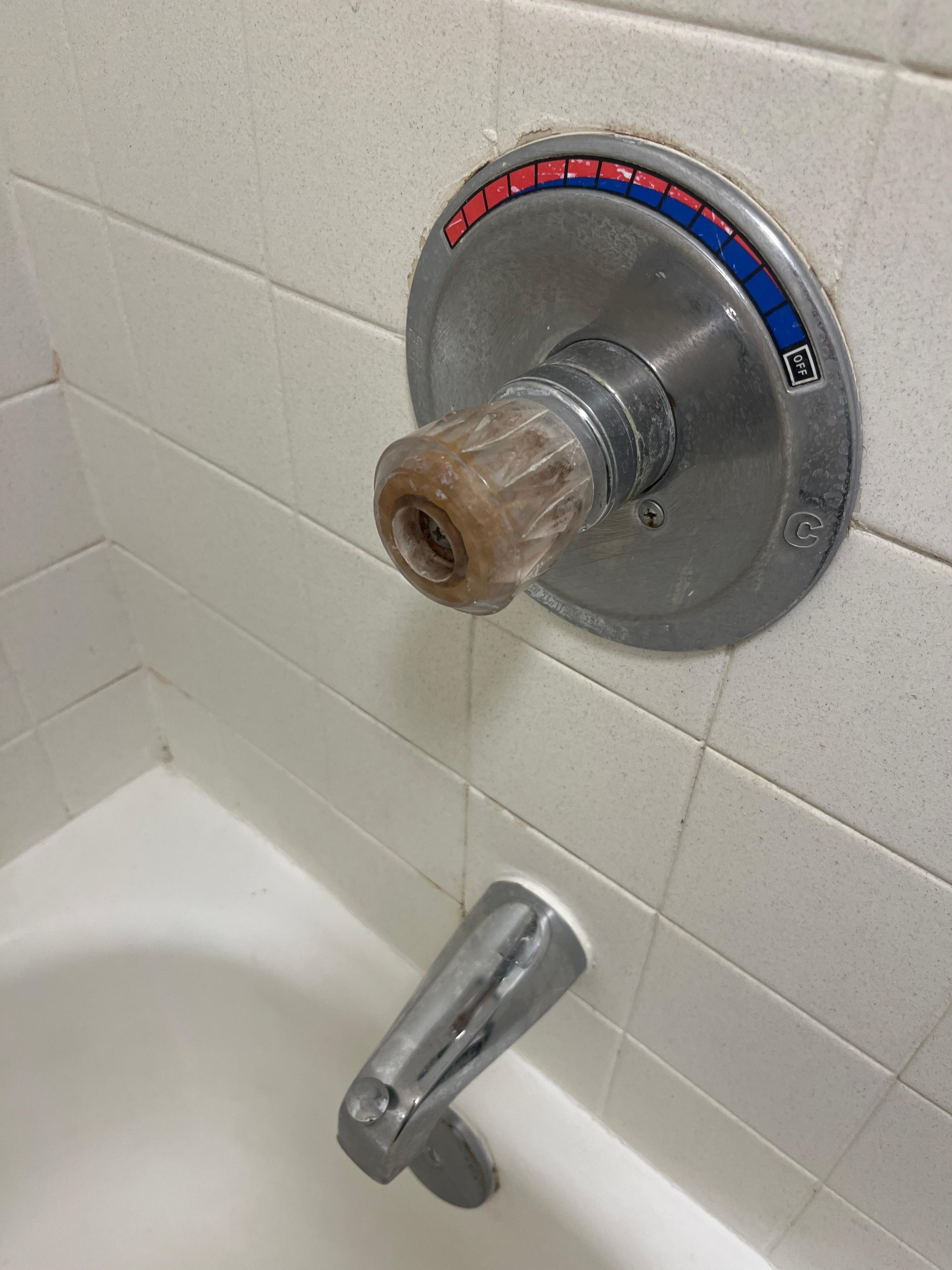 Moldy, nasty shower handle. 