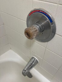 Moldy, nasty shower handle.