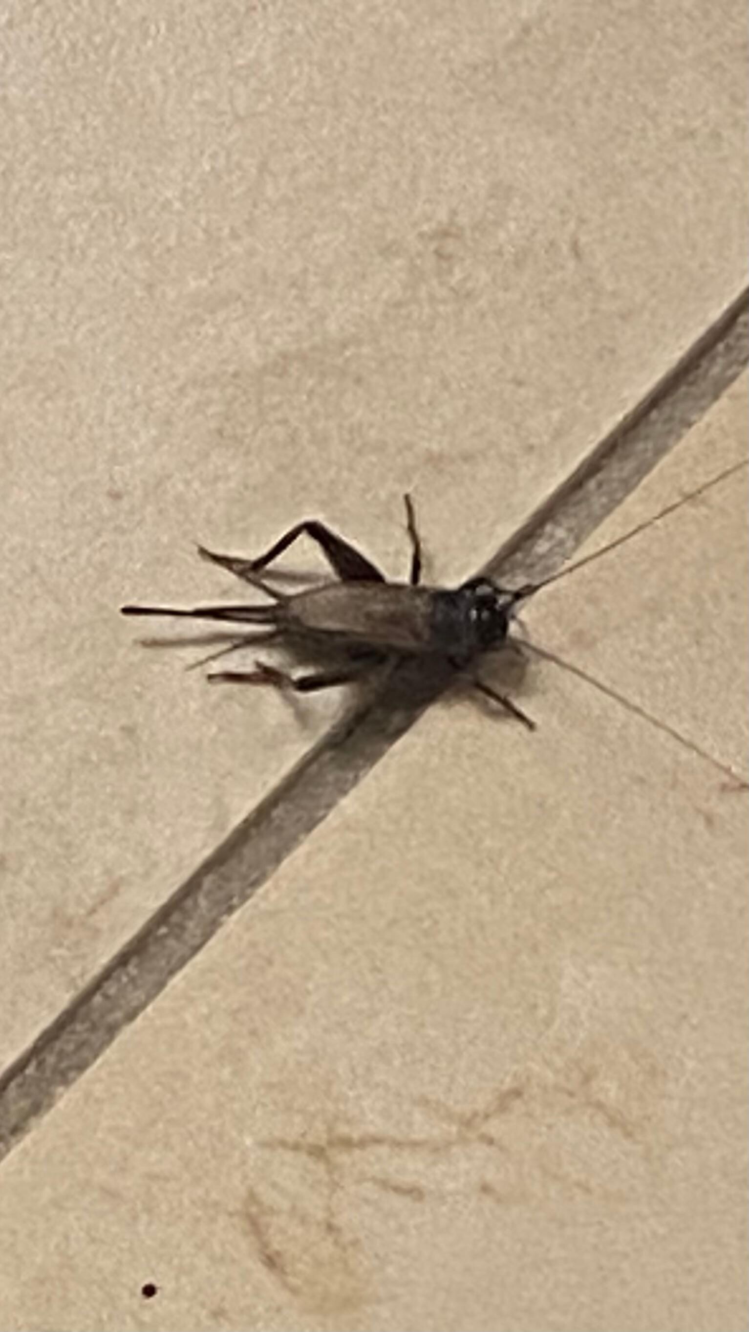 Gross bathroom friend