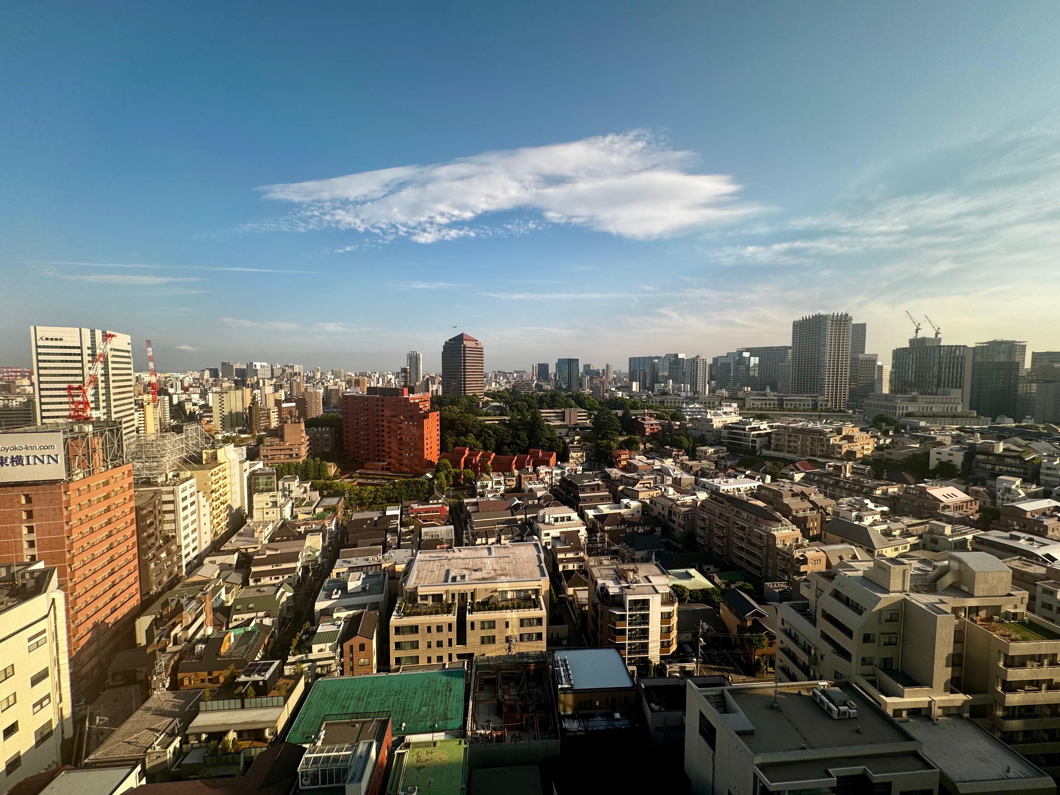 View