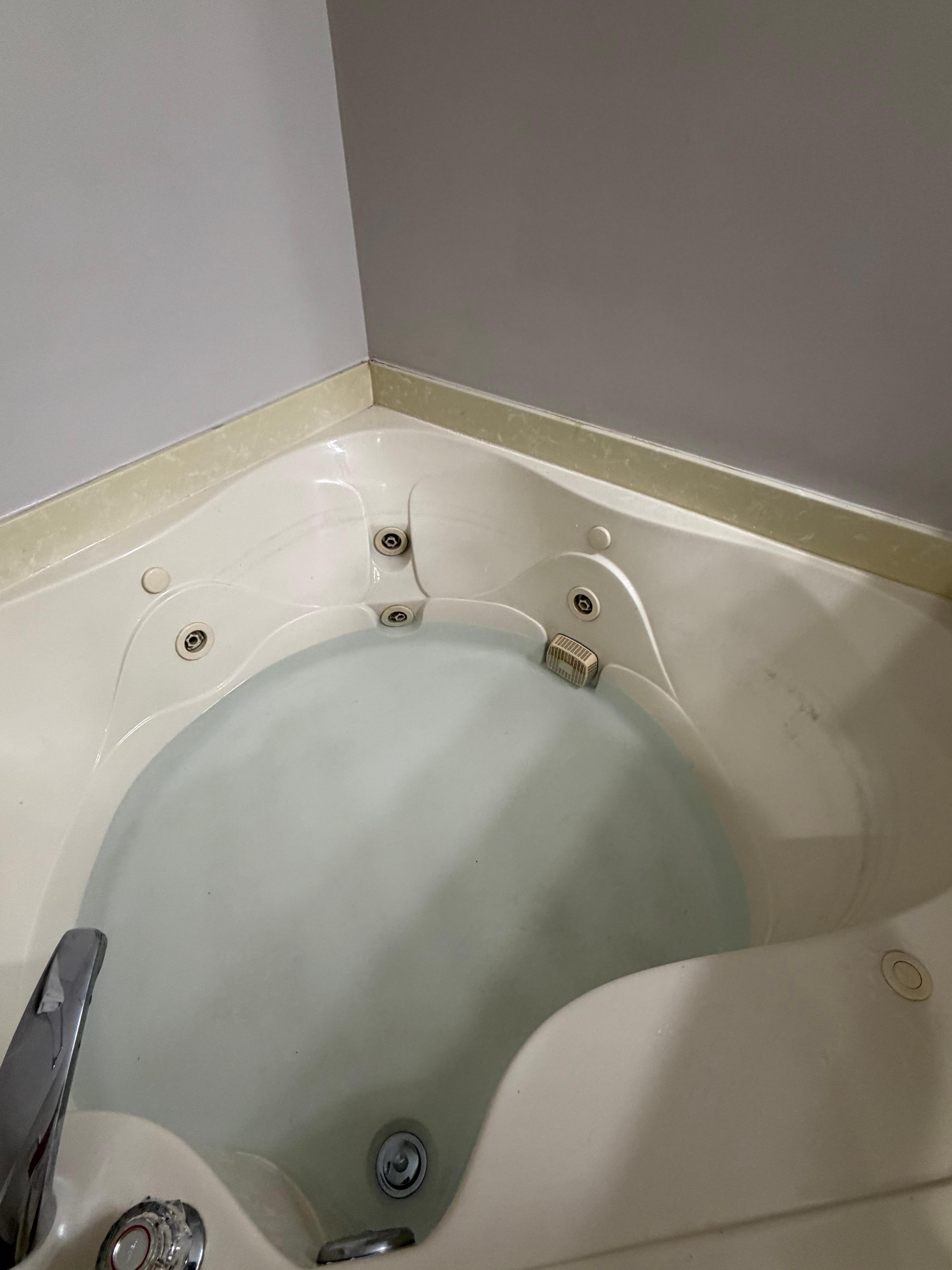 Water left in the Jacuzzi upon arrival and dirt in it