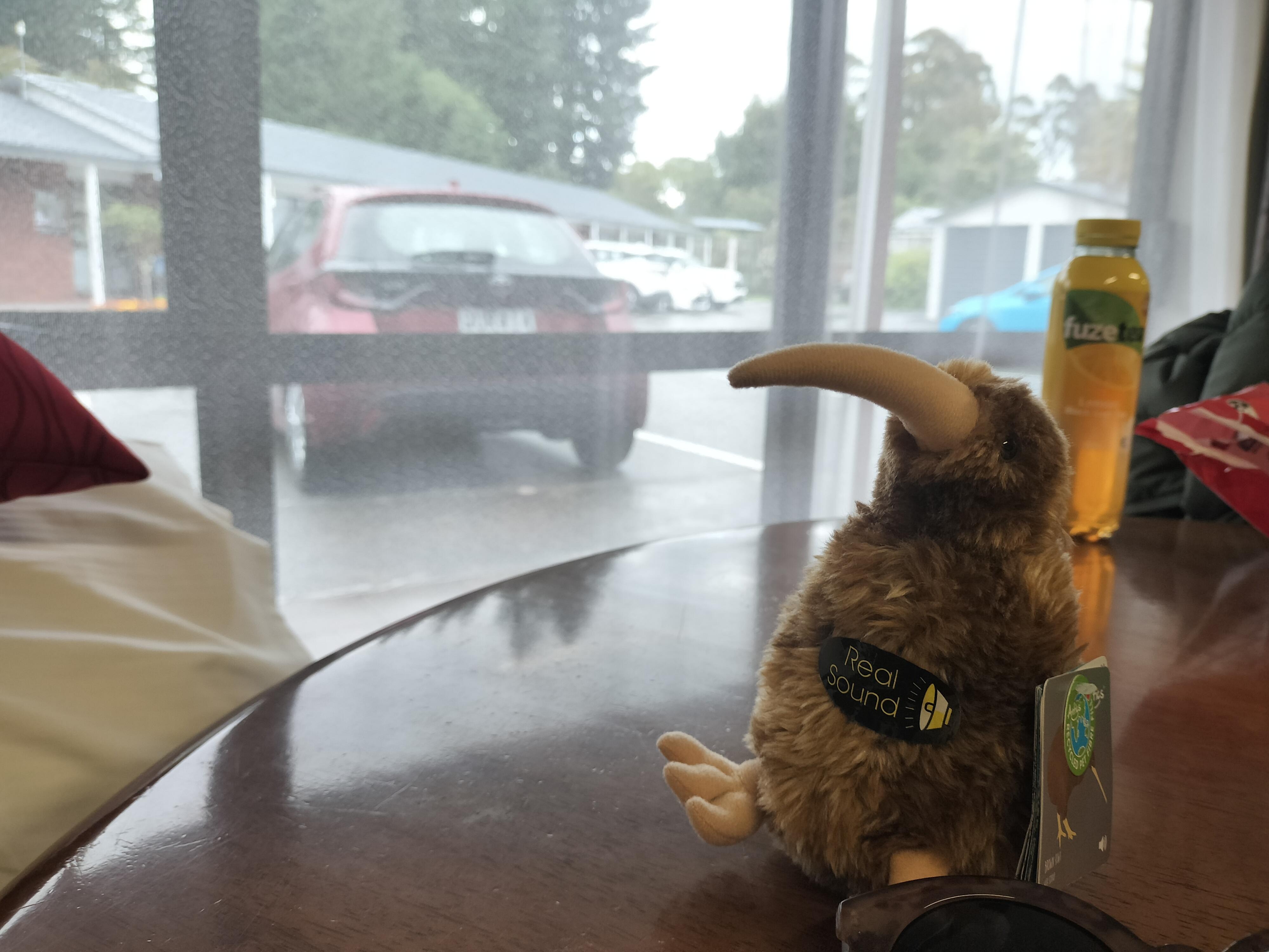 部屋の中から外を撮影したもの。私は（日本人はそうかもしれない）この、いきなり部屋という、玄関感のない入口に戸惑いました。でも特に風呂、トイレ、洗面、キッチンの管理の良さや、リネンの清潔さ、そしてご主人の雰囲気の良さから、すぐに安心感で馴染むことができました。