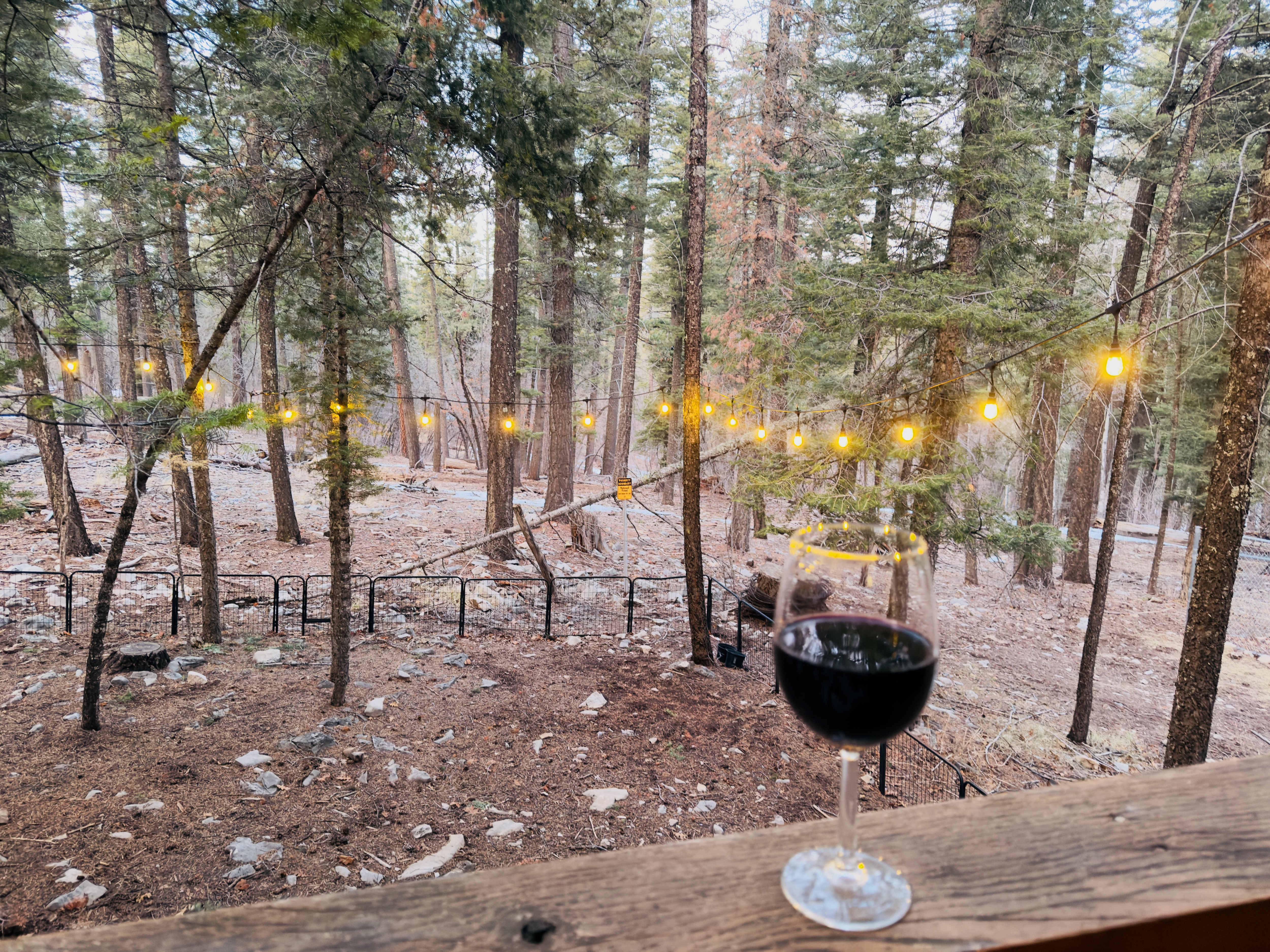 Back porch looking out at the forest