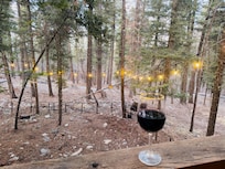 Back porch looking out at the forest