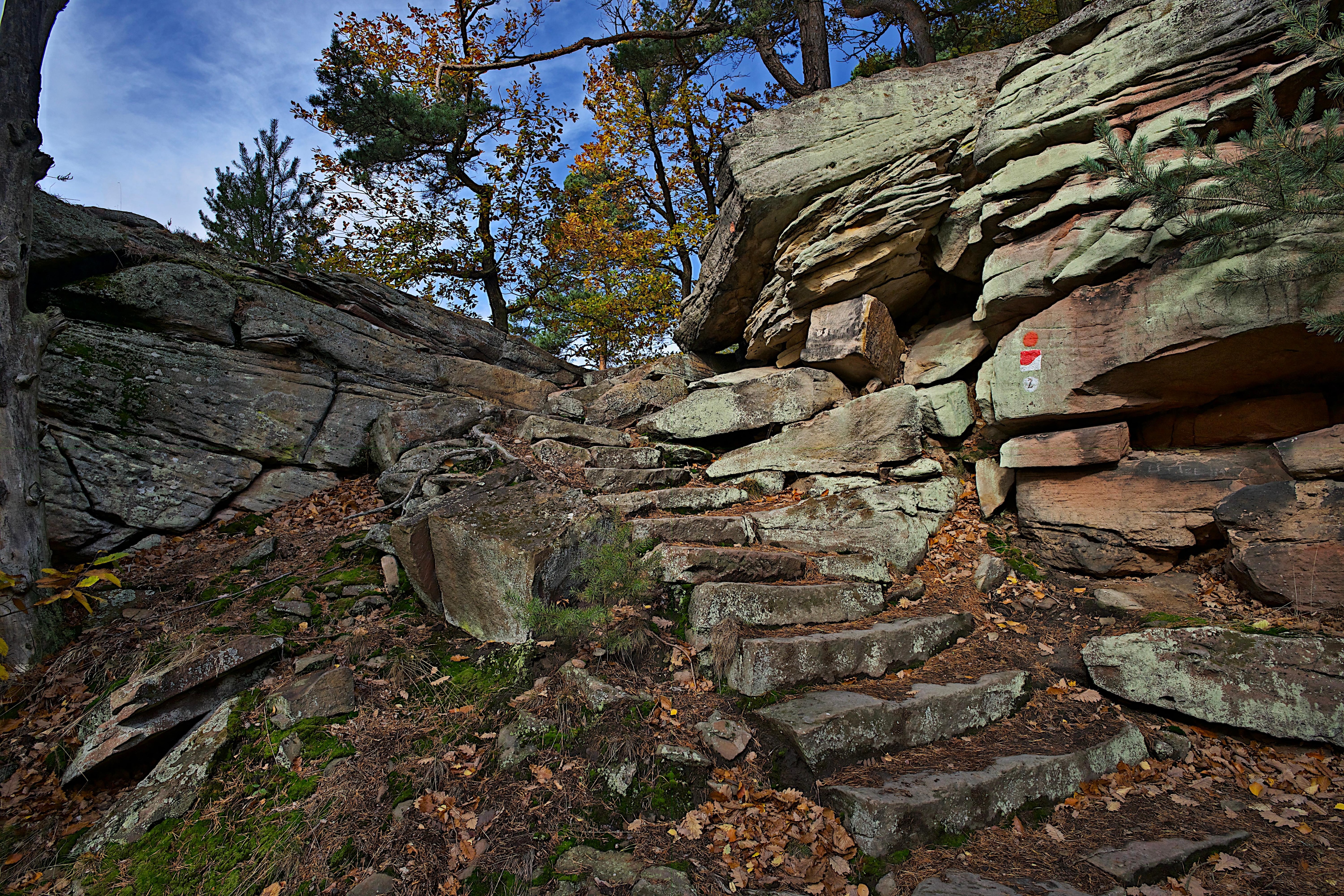 Wanderung oberhalb der Wolfsburg bei Neustadt