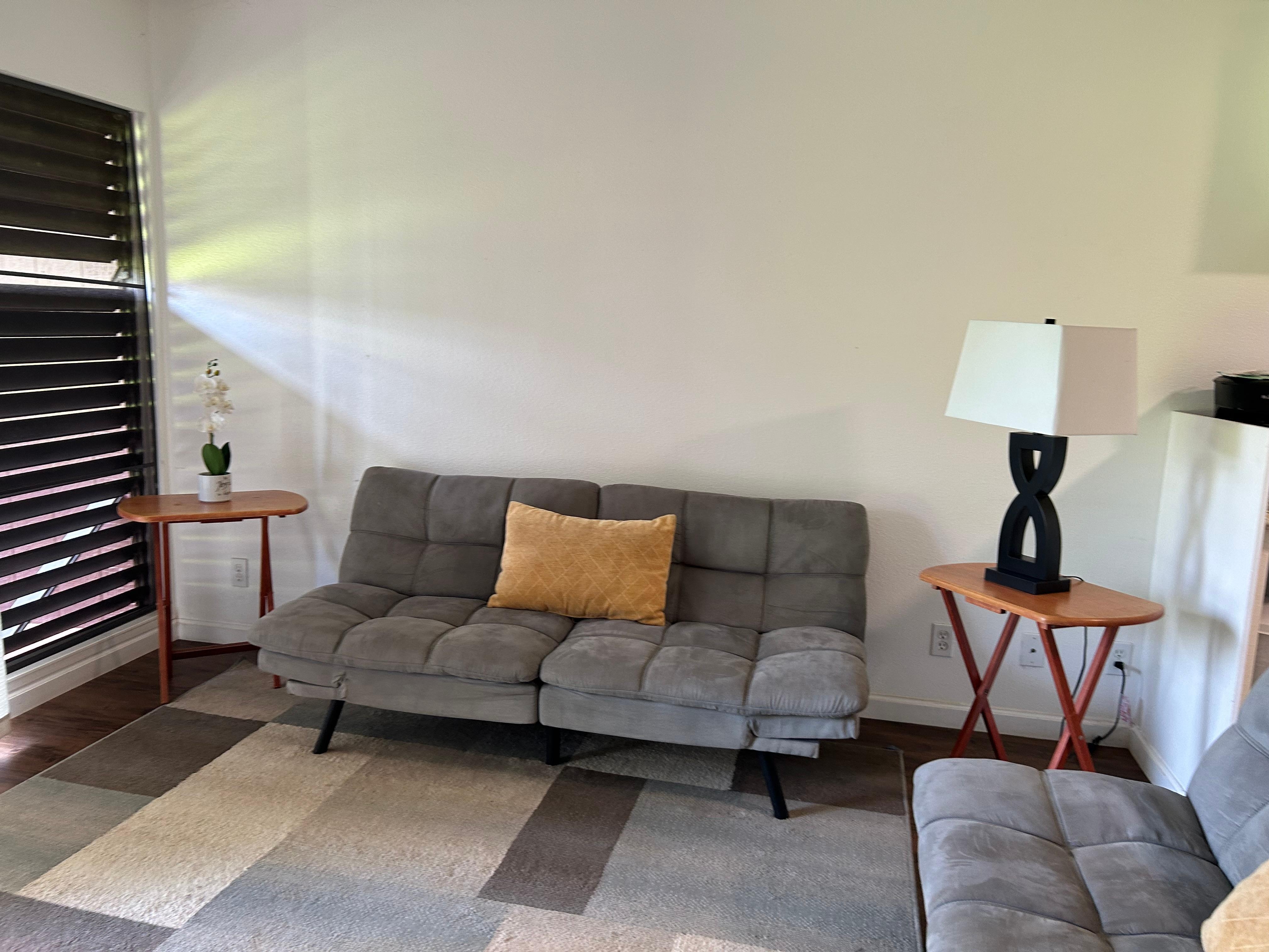 リビングのソファーベッド2台も