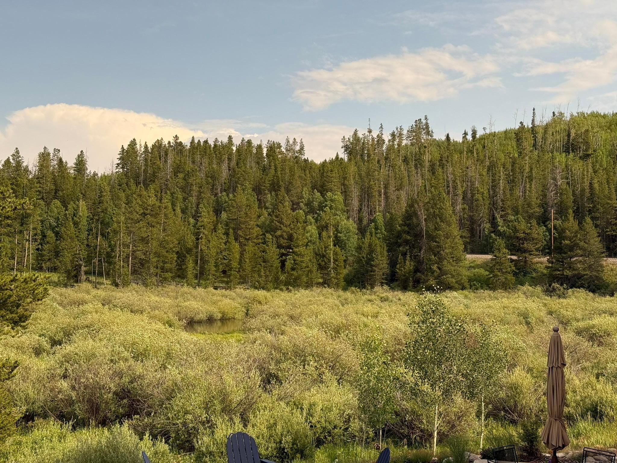 wetlands just off the patio were filled with birds and just lovely to enjoy from the patio