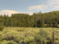 wetlands just off the patio were filled with birds and just lovely to enjoy from the patio