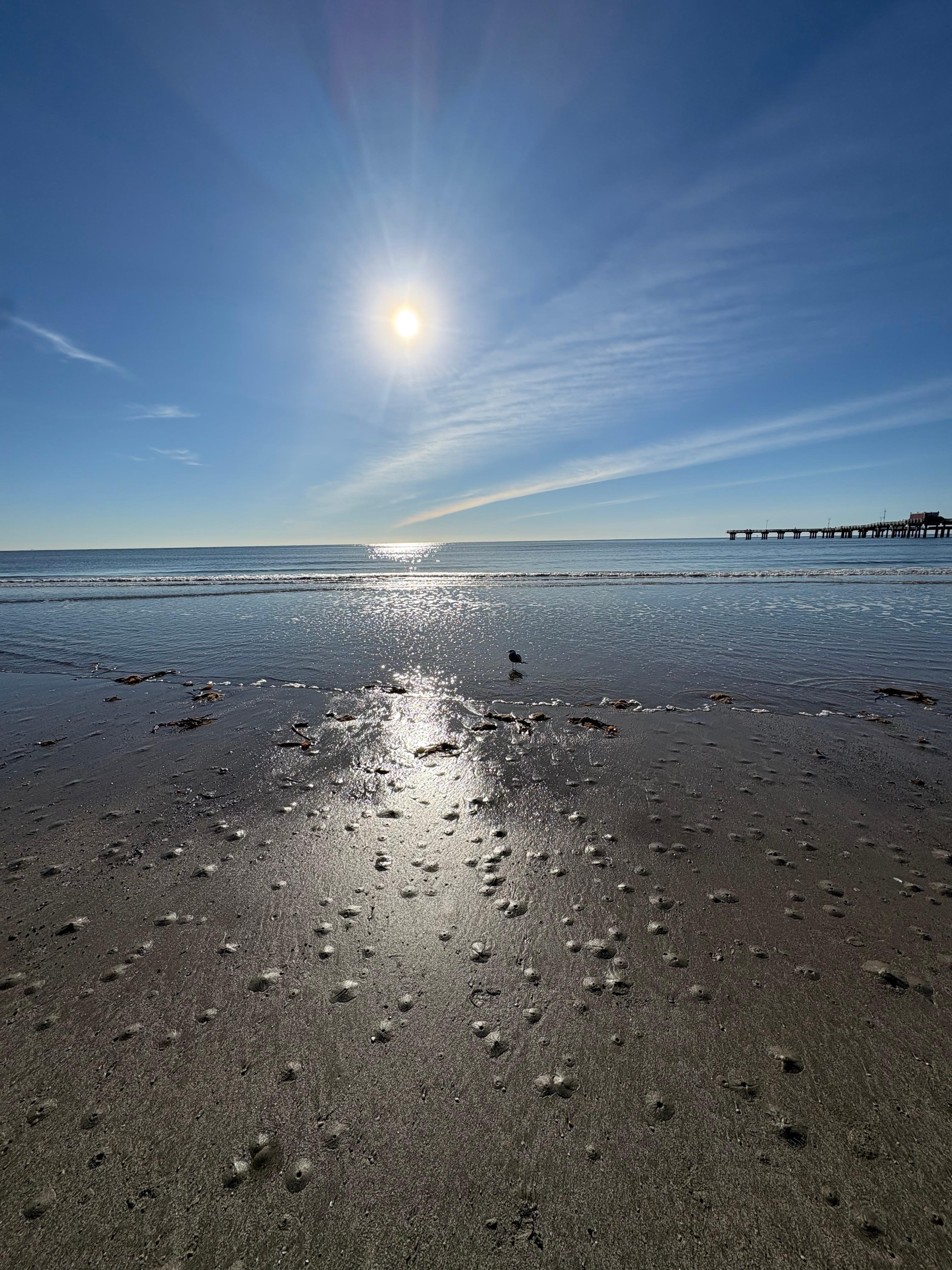 Walk on the beach on the morning!