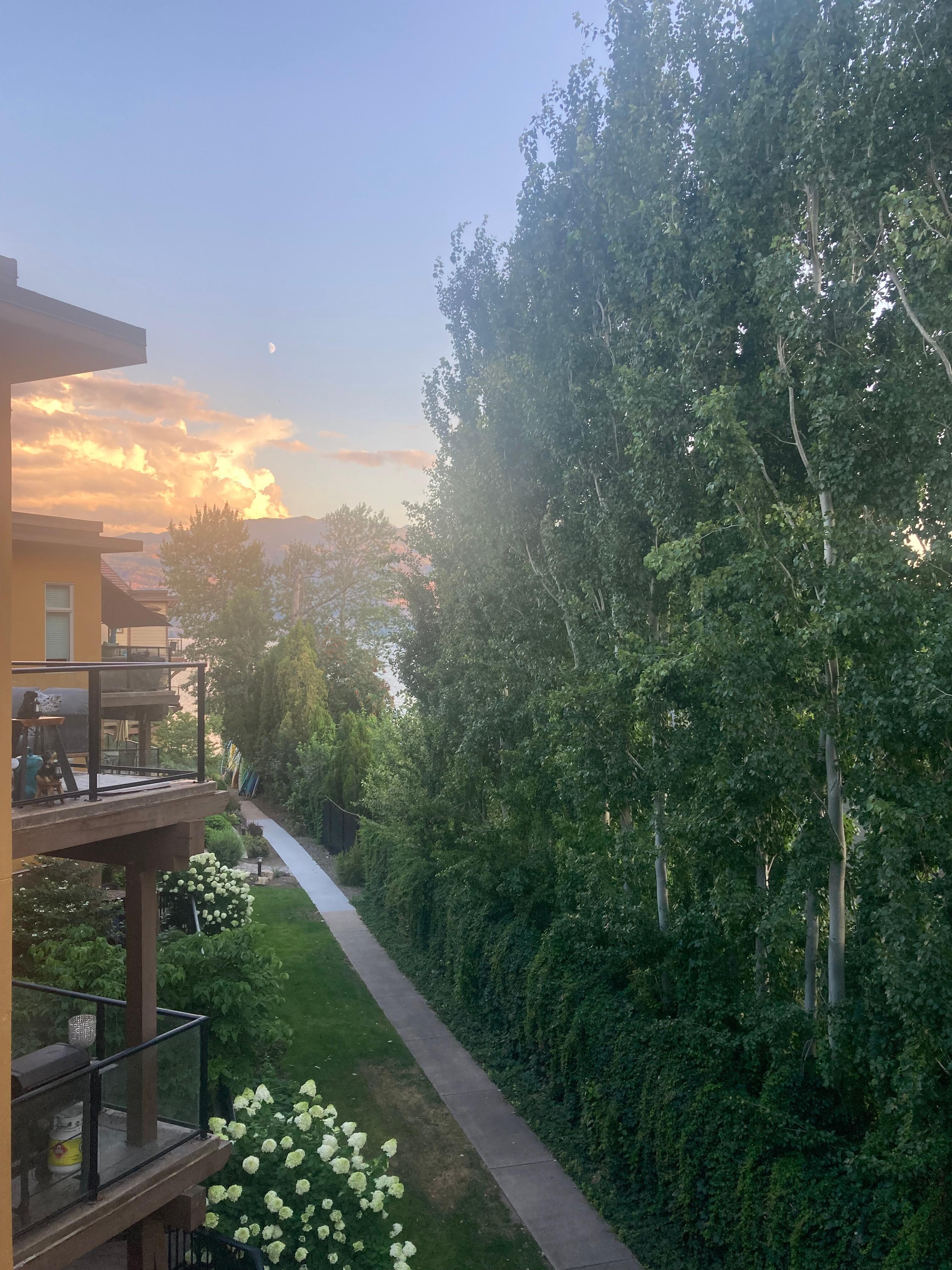 Unit on the rear of the building but it proved to be extremely quiet and peaceful. This pic is from our balcony looking towards the water. 