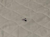 Another burn stain/mark on bed.