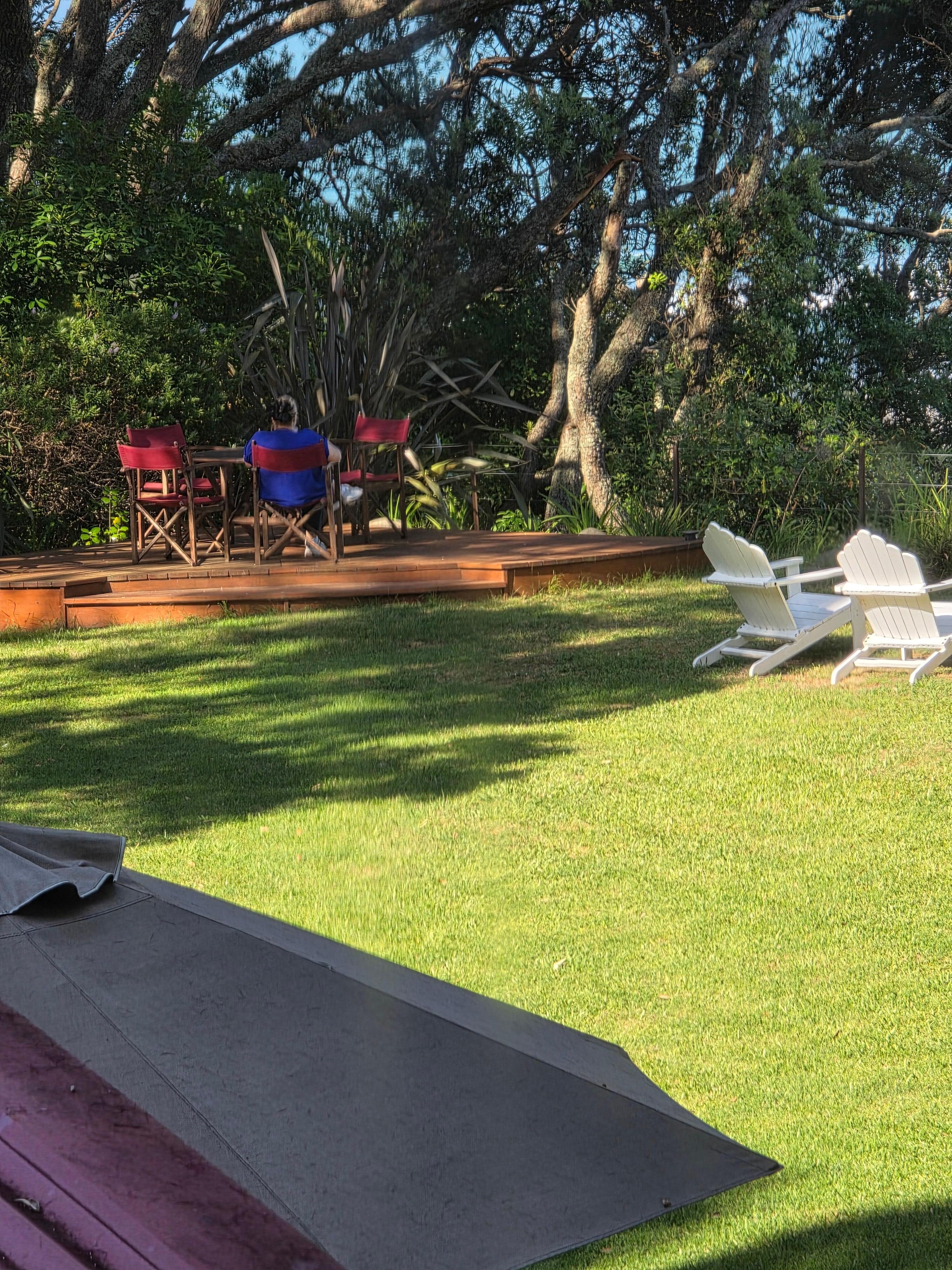 Garden with birds and sound of surf