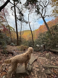 Glen Burley Trail out of downtown Blowing Rock