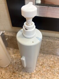 The black and brown gunk on the soap / lotion. Notice the attached screws on the bottle next to it.