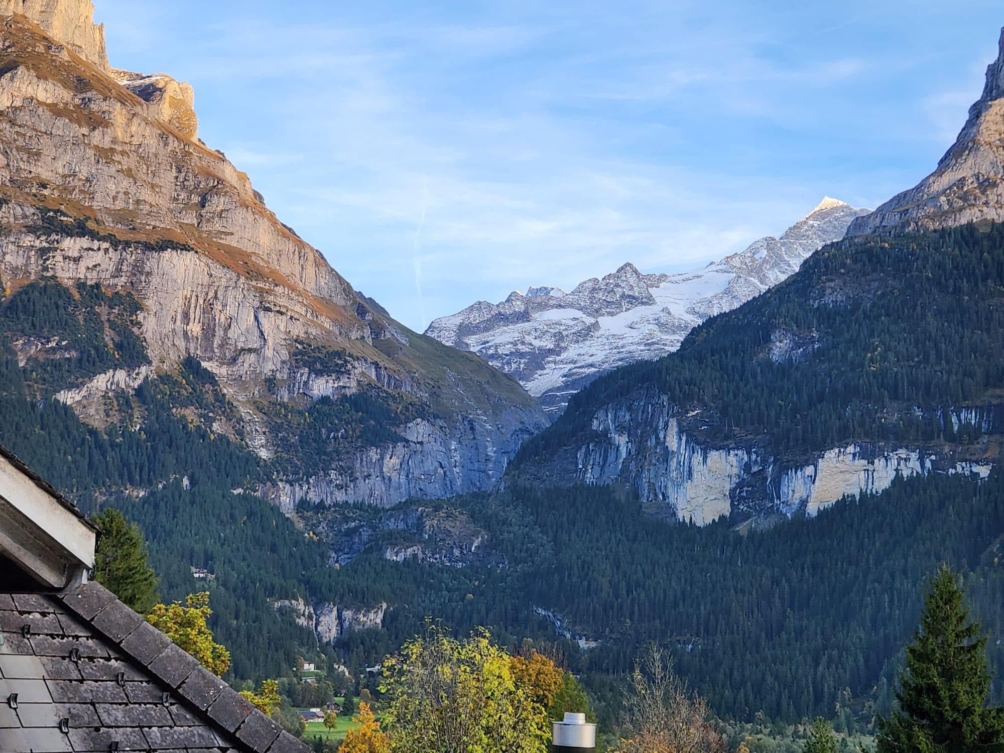 View from the window