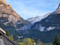 View from the window