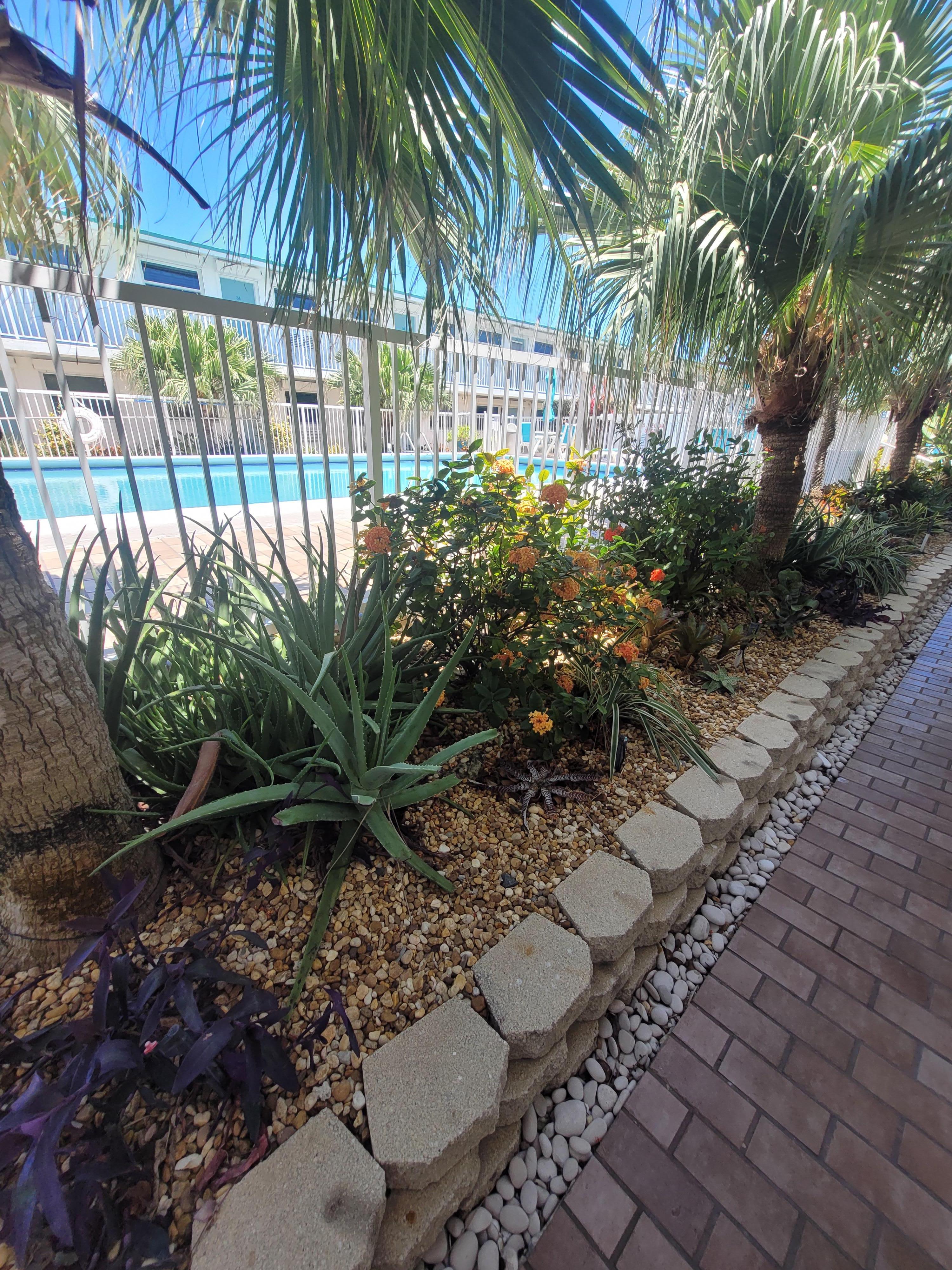 Well landscaped