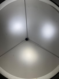 bugs in lamp above the bed