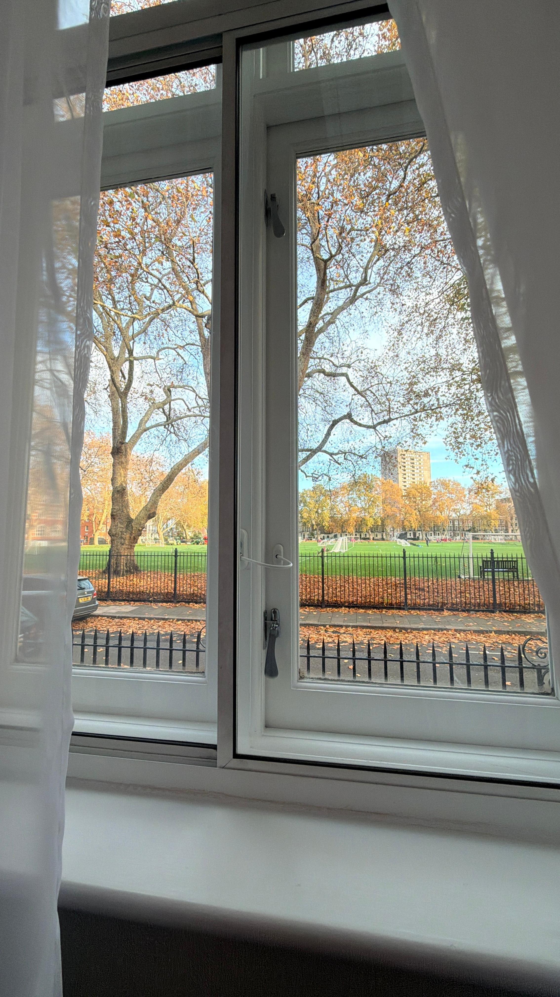 Beautiful view out my window.