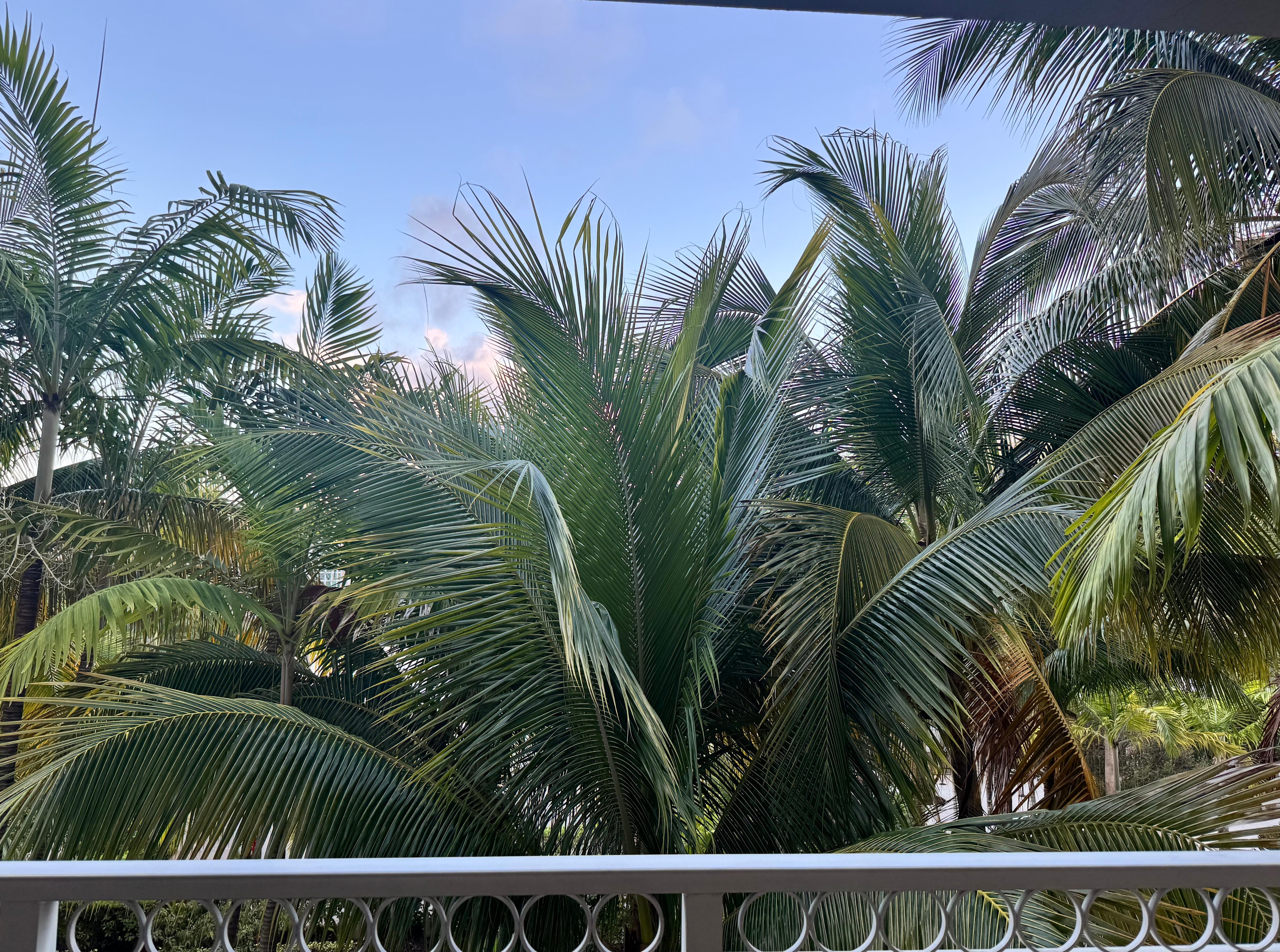 The view we actually got the Jasmine the room director told my wife was “fair“