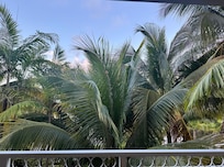 The view we actually got the Jasmine the room director told my wife was “fair“