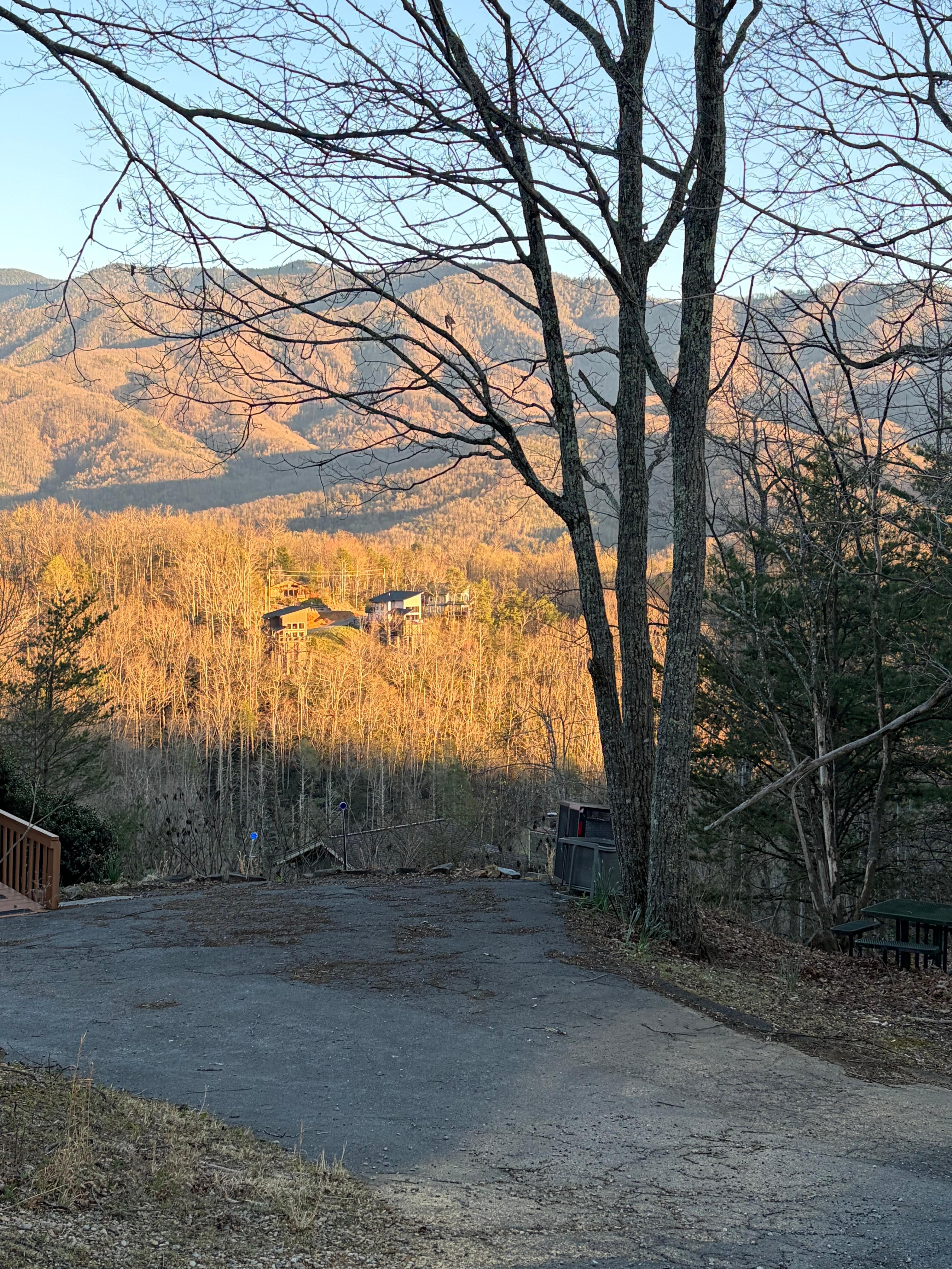 View from top of driveway