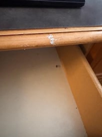 Roach in the drawer
