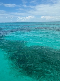 Gin Clear Caribbean Water