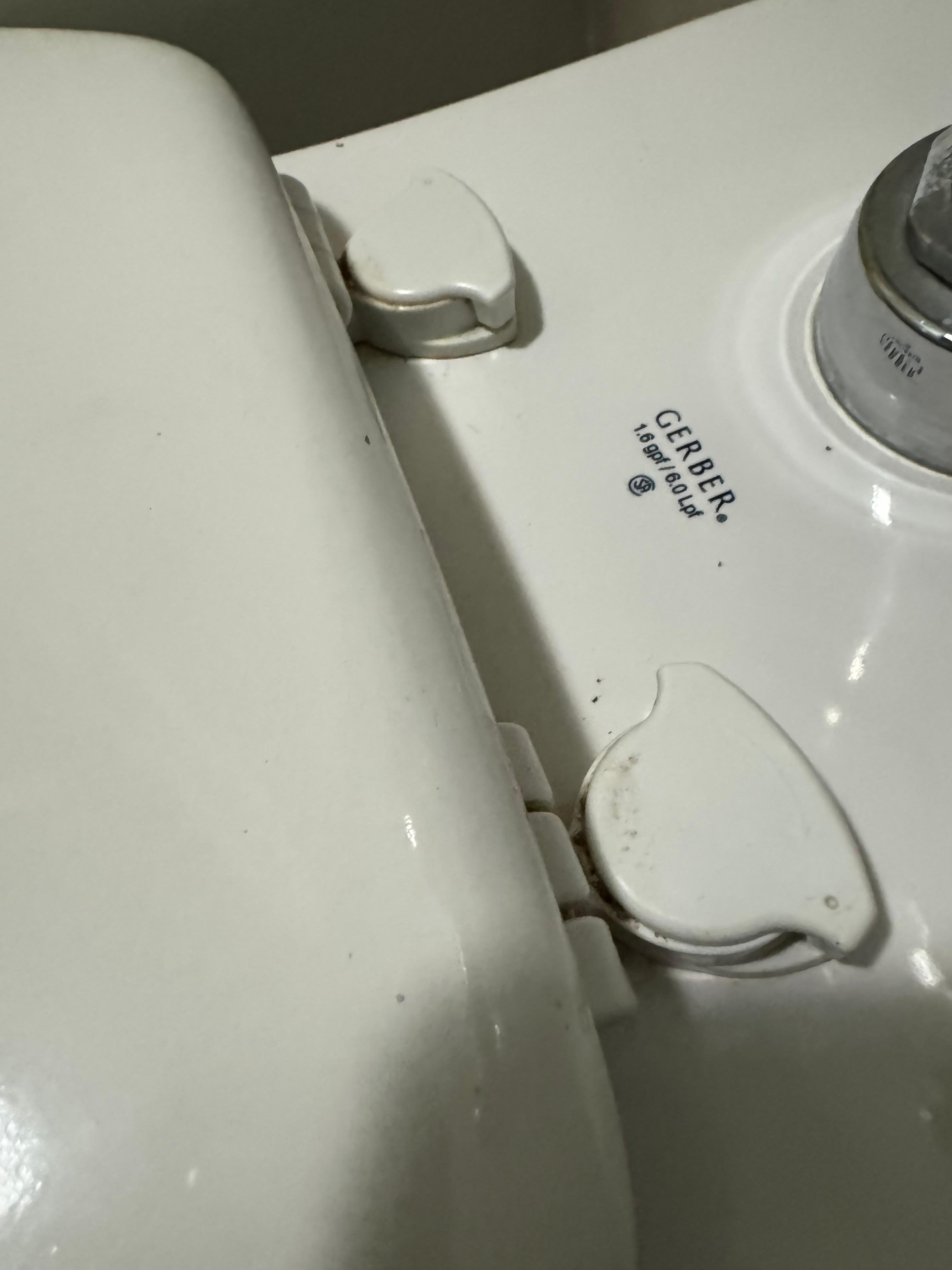 Dirty toilet