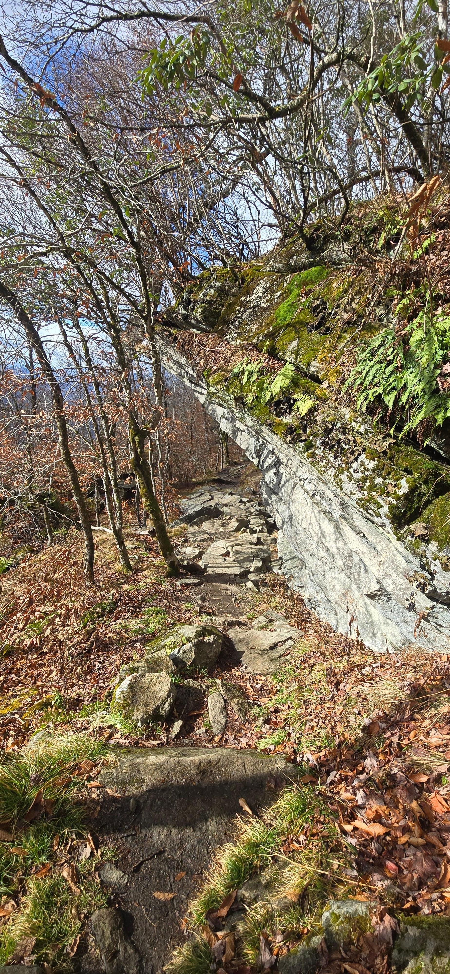 Emerald Outback trail - that rock overhang is about 20' in the air and the trail goes under it