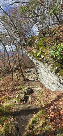 Emerald Outback trail - that rock overhang is about 20' in the air and the trail goes under it
