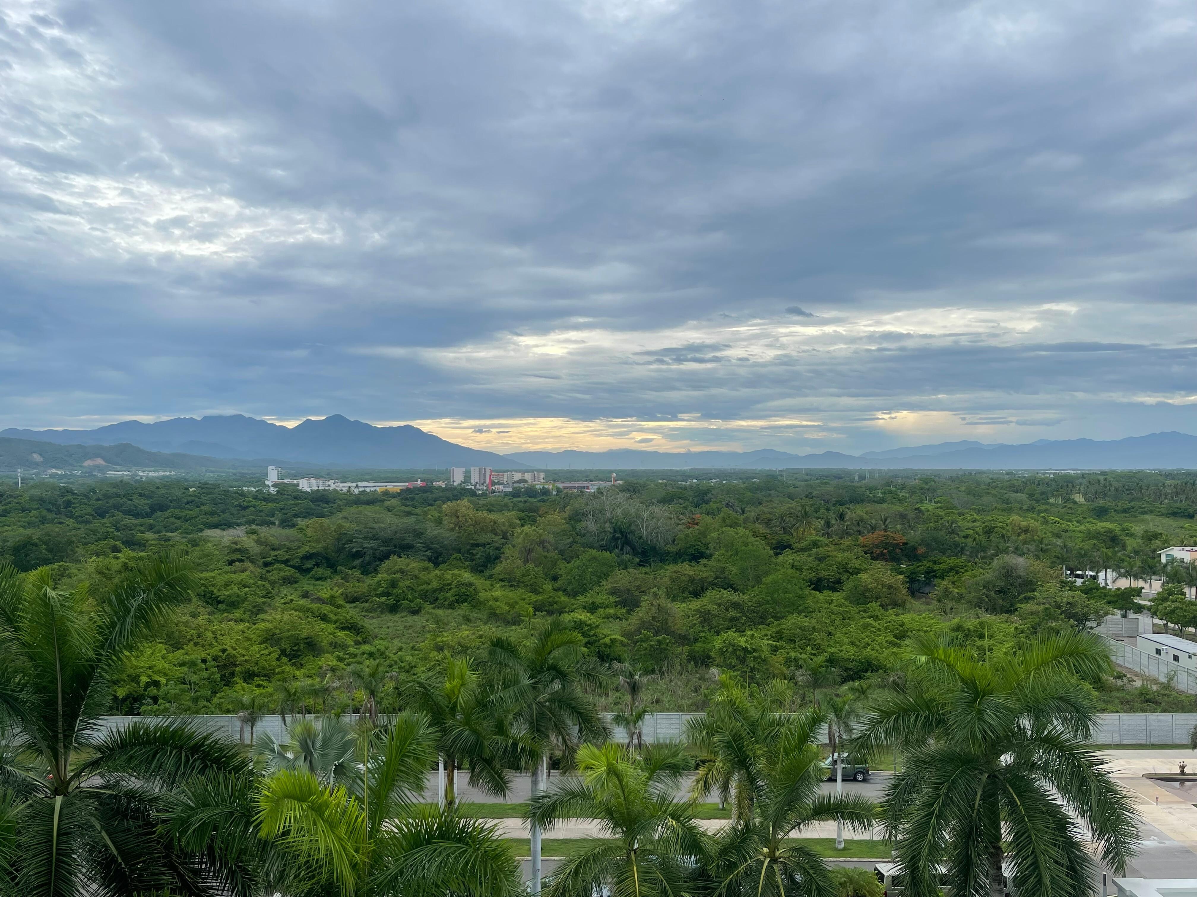 View out the front windows