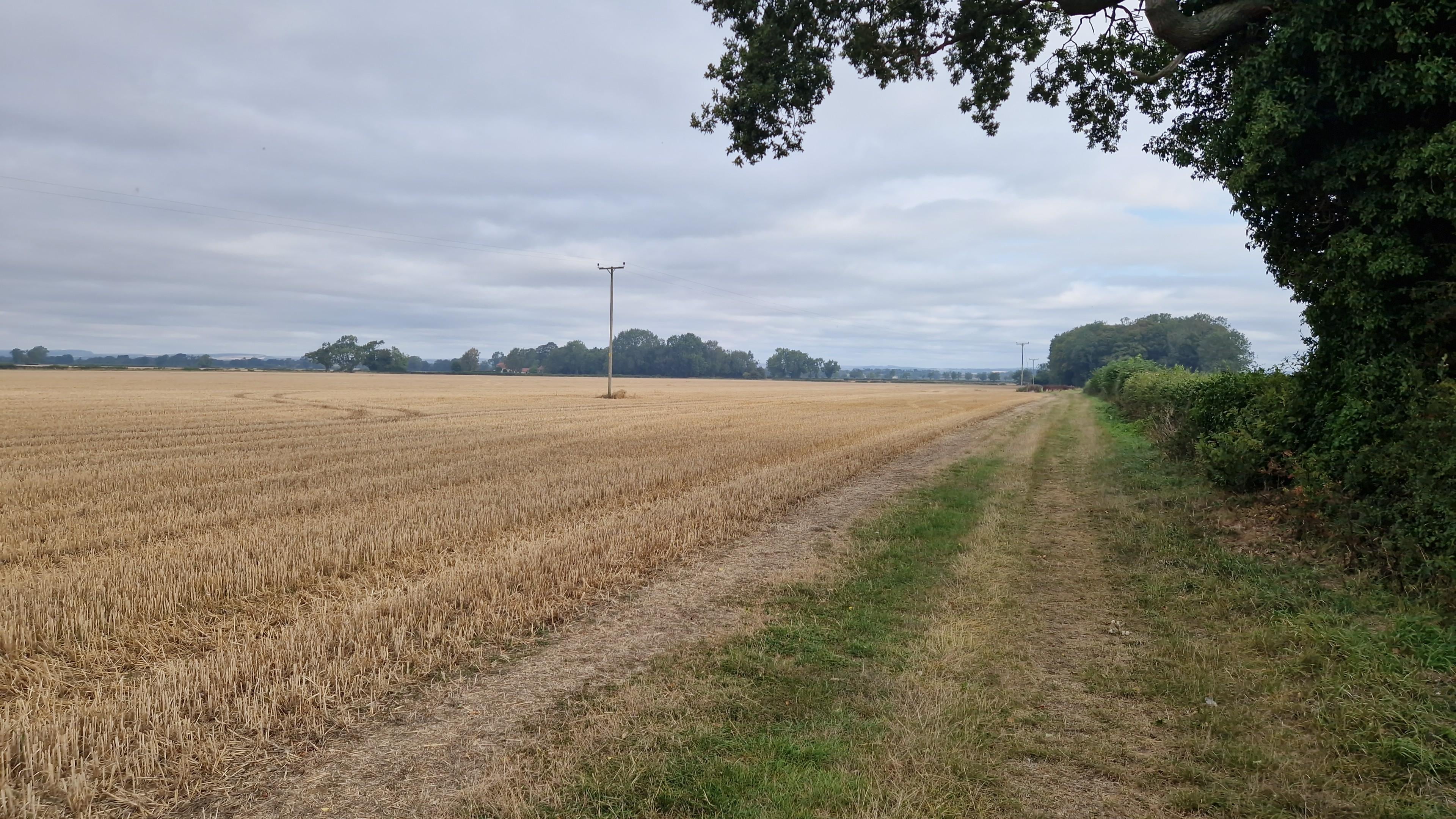 Heerlijk wandelen bij huis