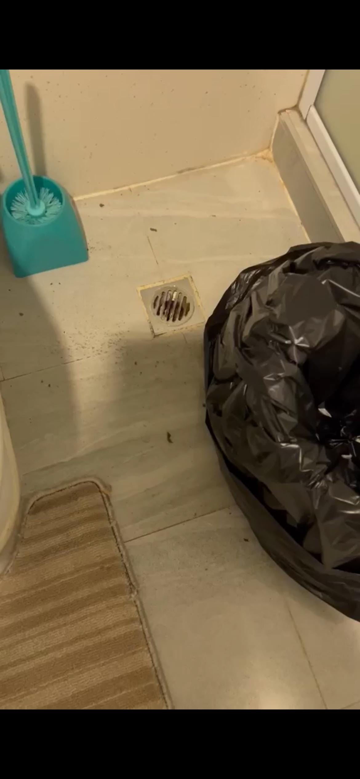 Black stuff coming out of the drain next to the toilet giving a horrible smell 