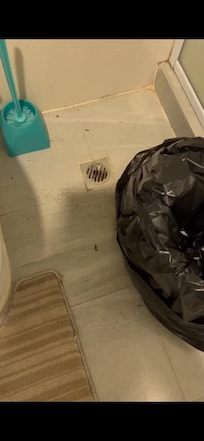 Black stuff coming out of the drain next to the toilet giving a horrible smell