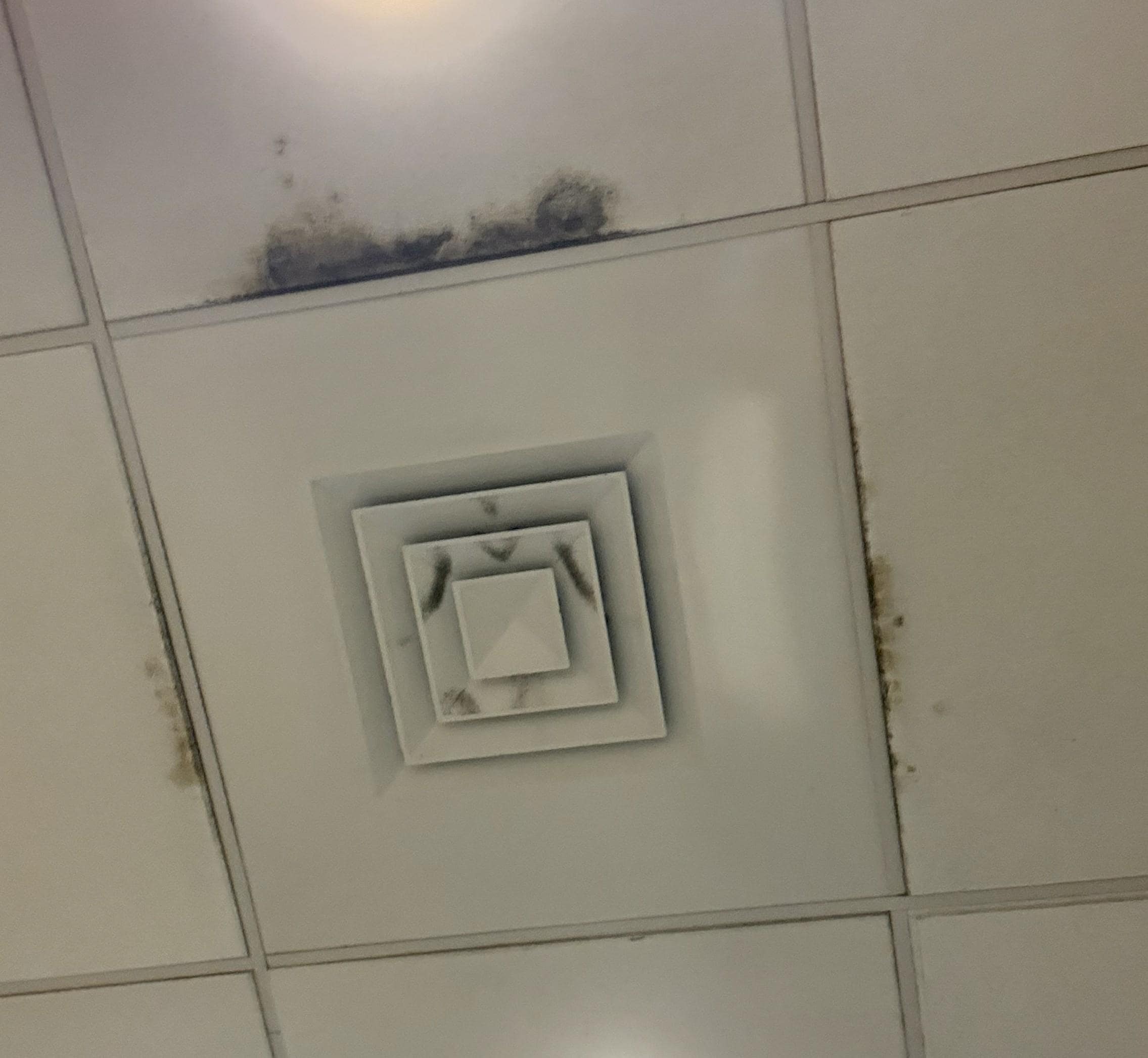 Mold on ceiling tile in fitness center.