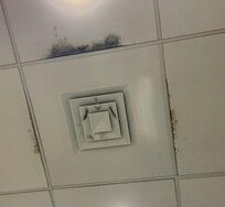 Mold on ceiling tile in fitness center.