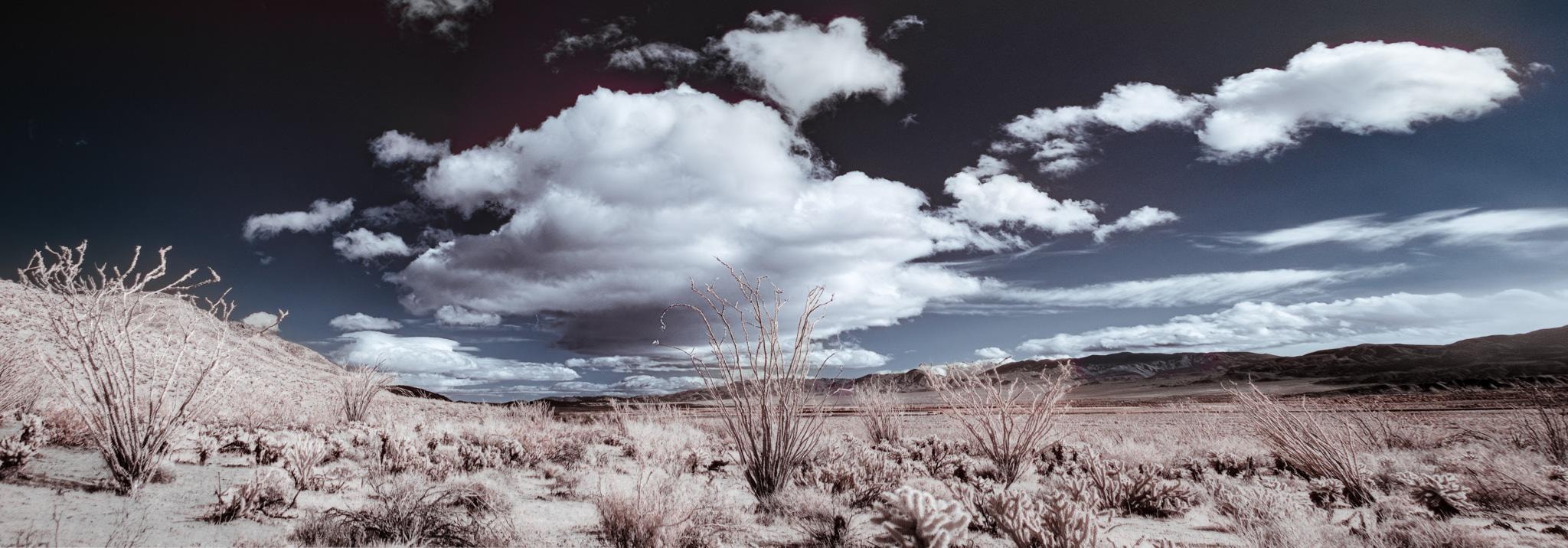 Local desert excursions are just minutes away.