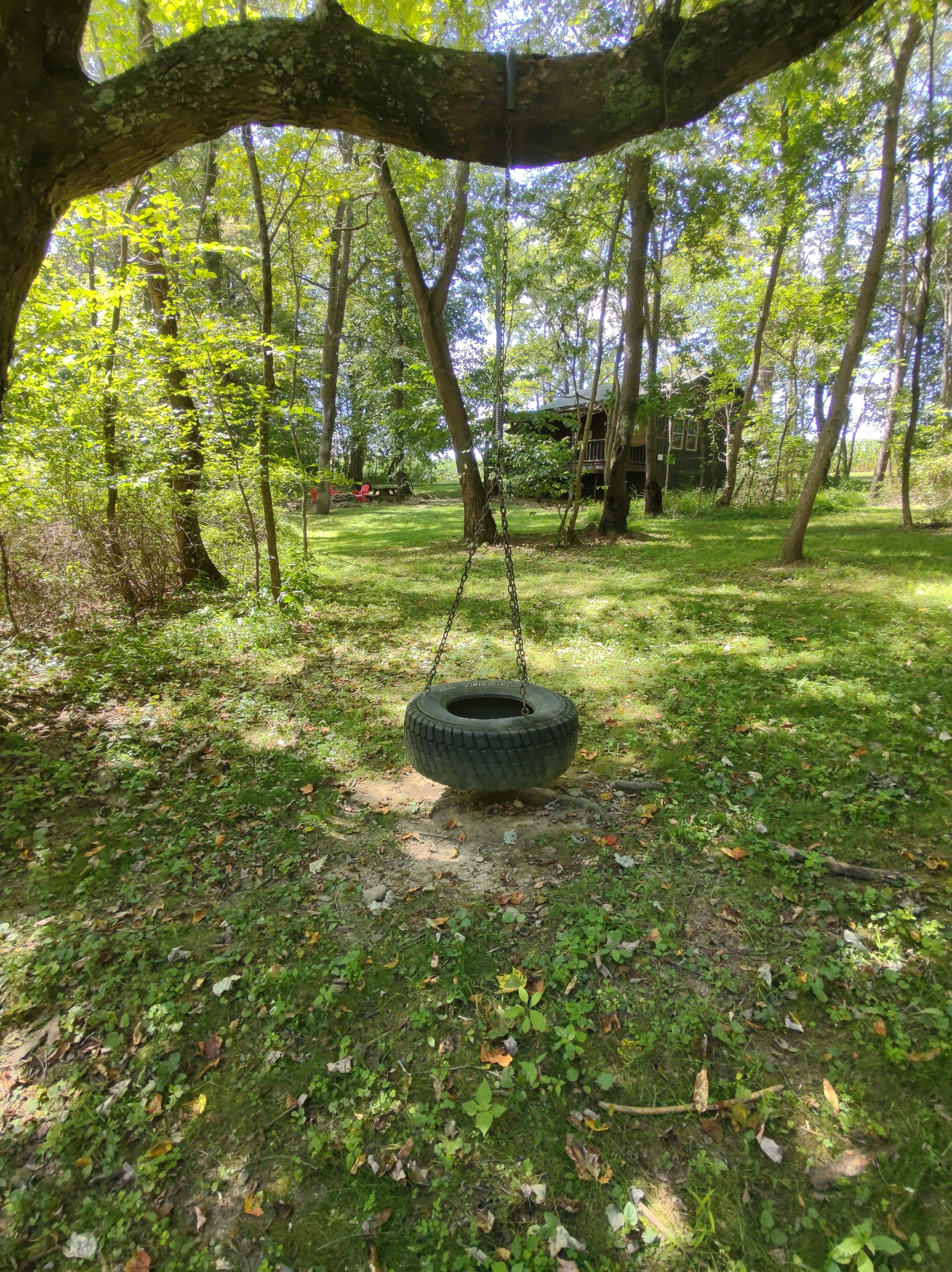Tire swing in the back yard