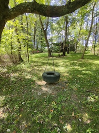 Tire swing in the back yard
