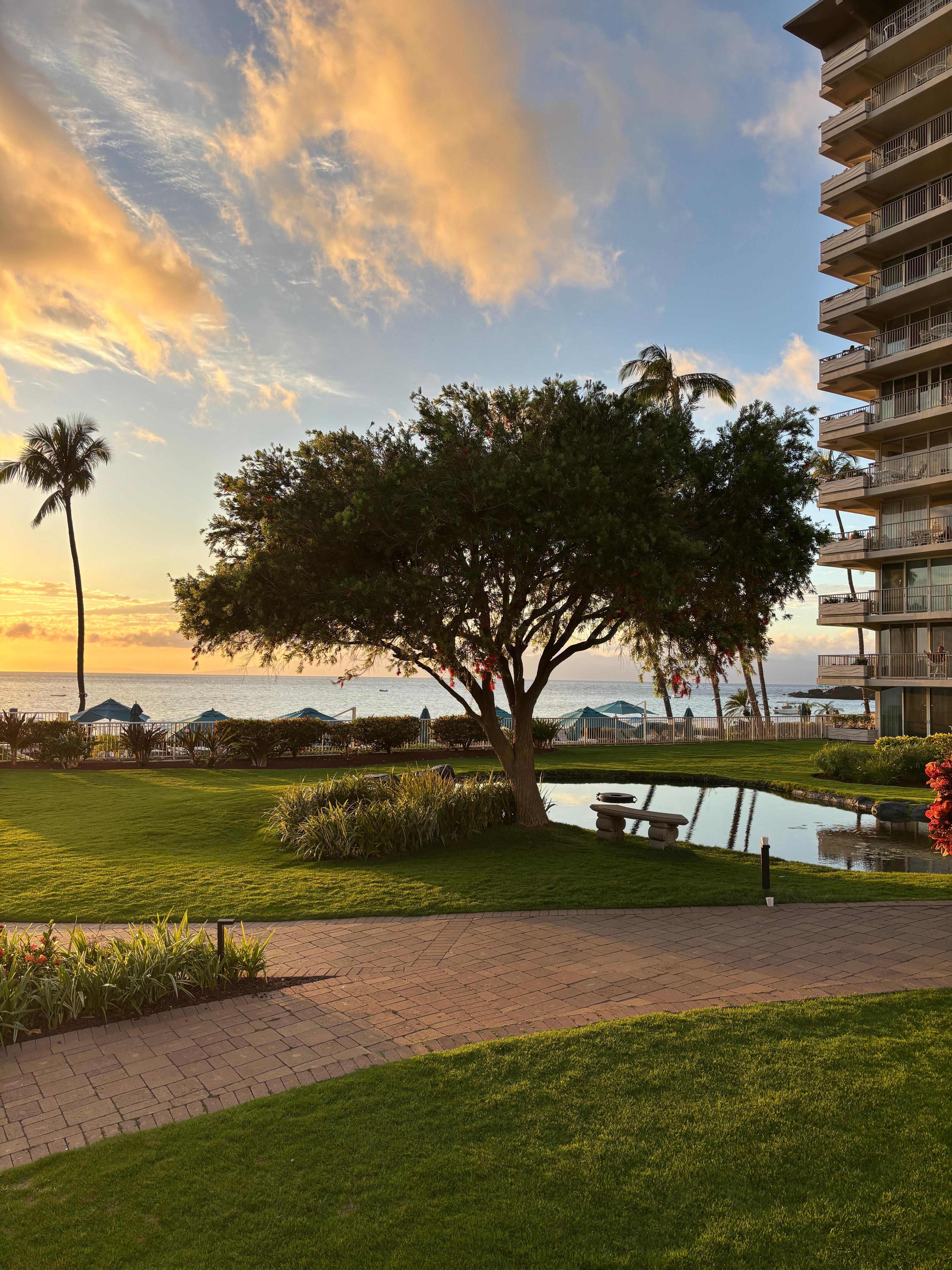 View from the hotel.