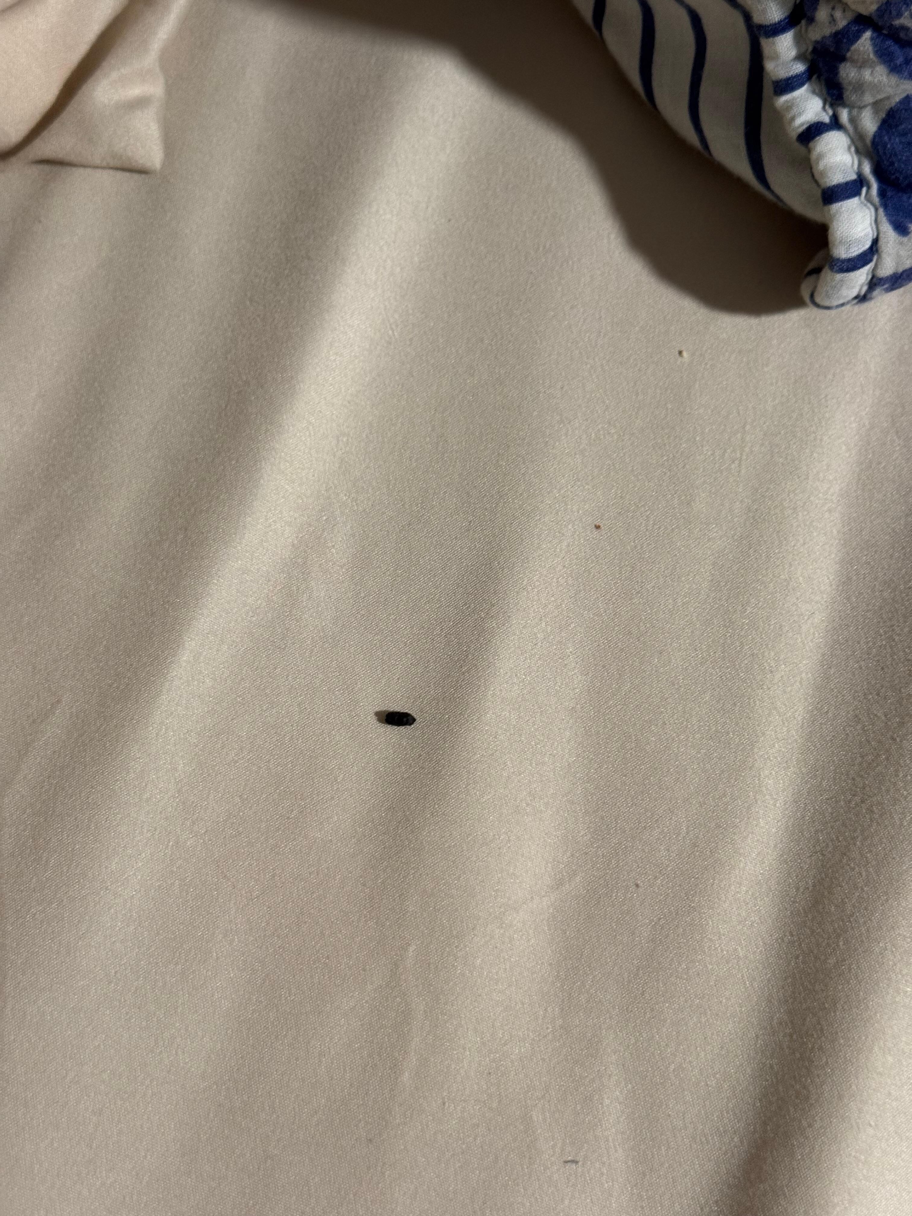 Dropping in the bed just under the decorative pillows 