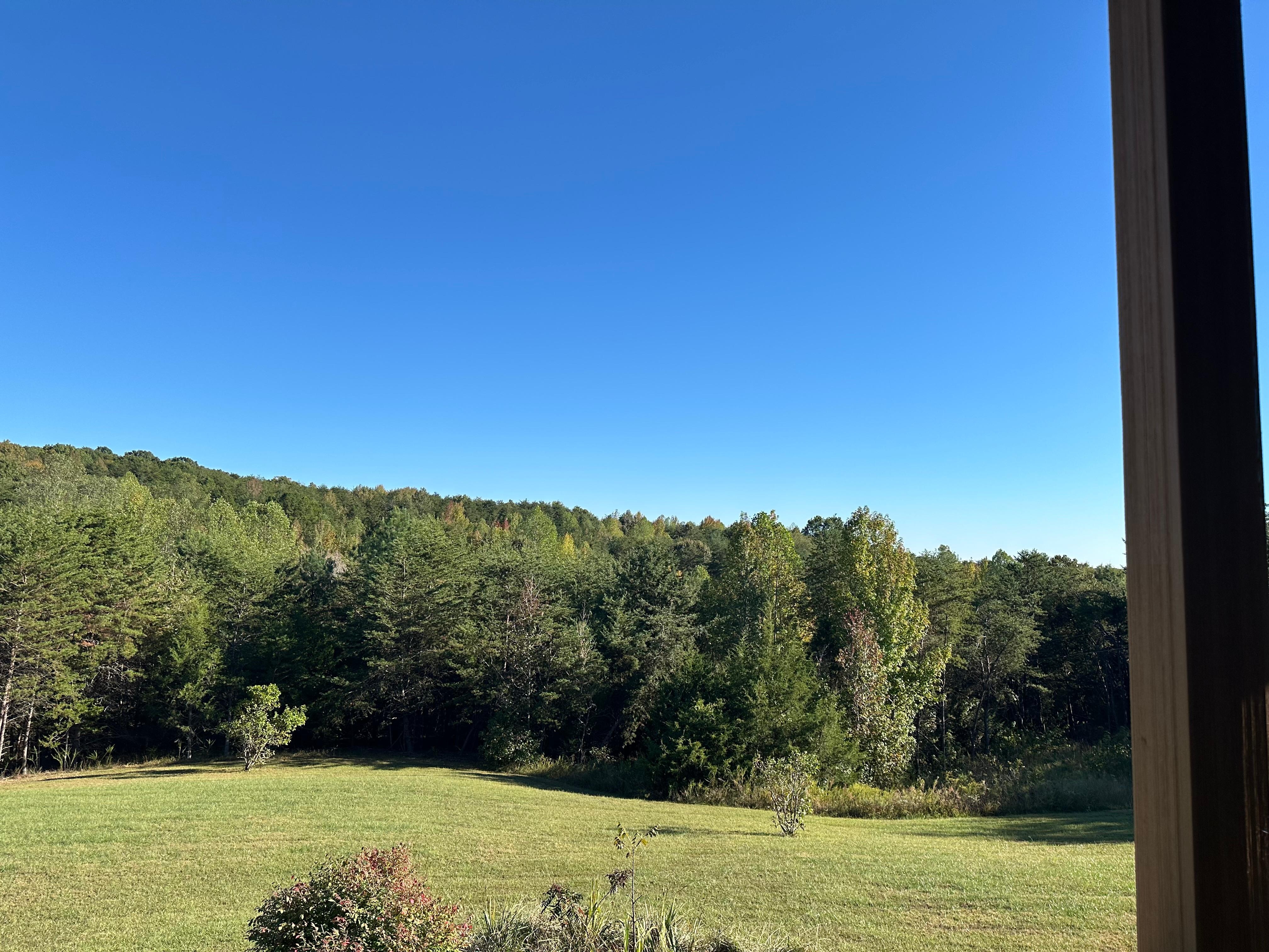 Nice yard and peaceful