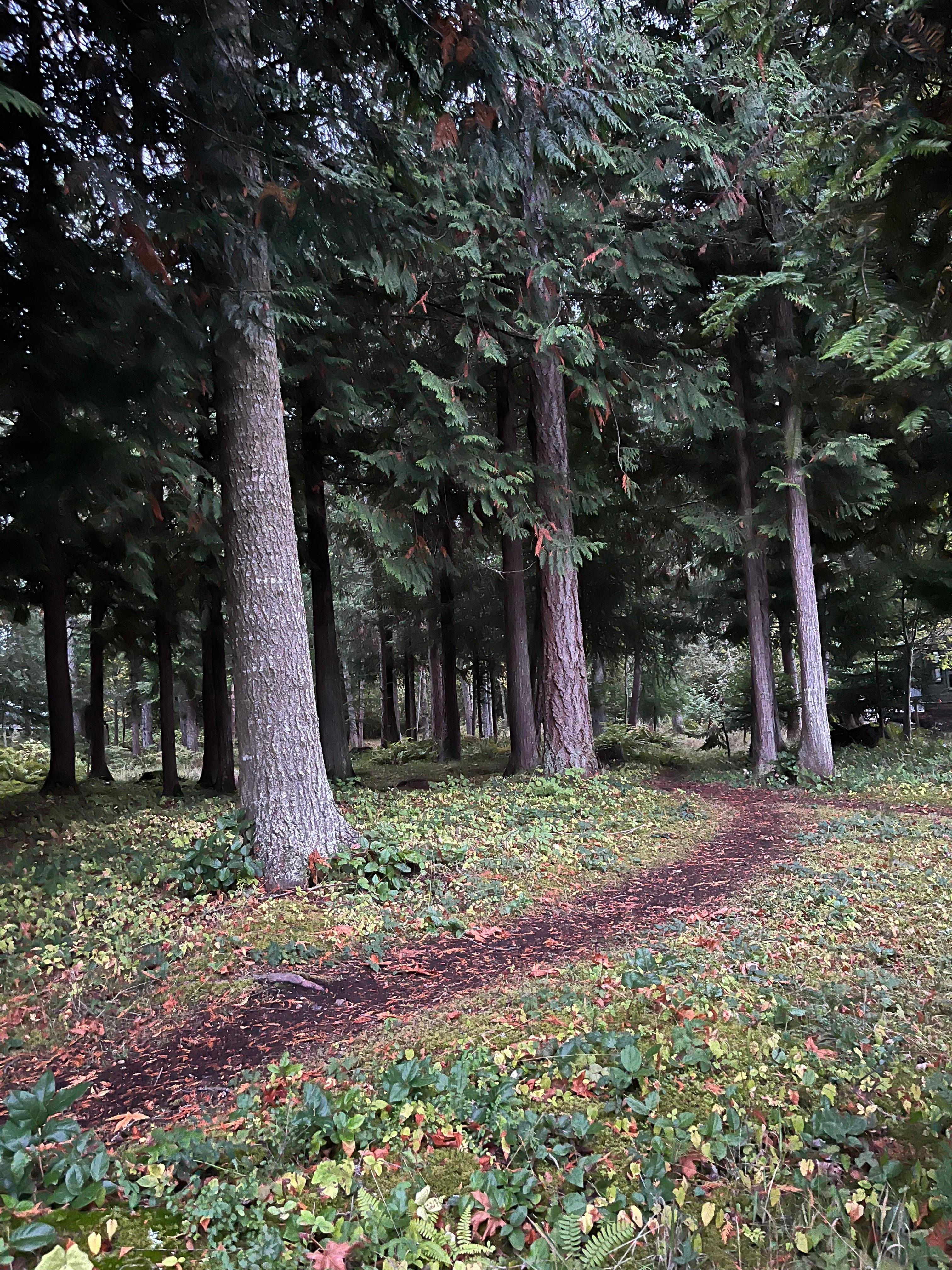 This path is very close to the house. 