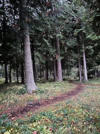 This path is very close to the house.