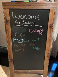 This hotel understands how to be pet friendly!