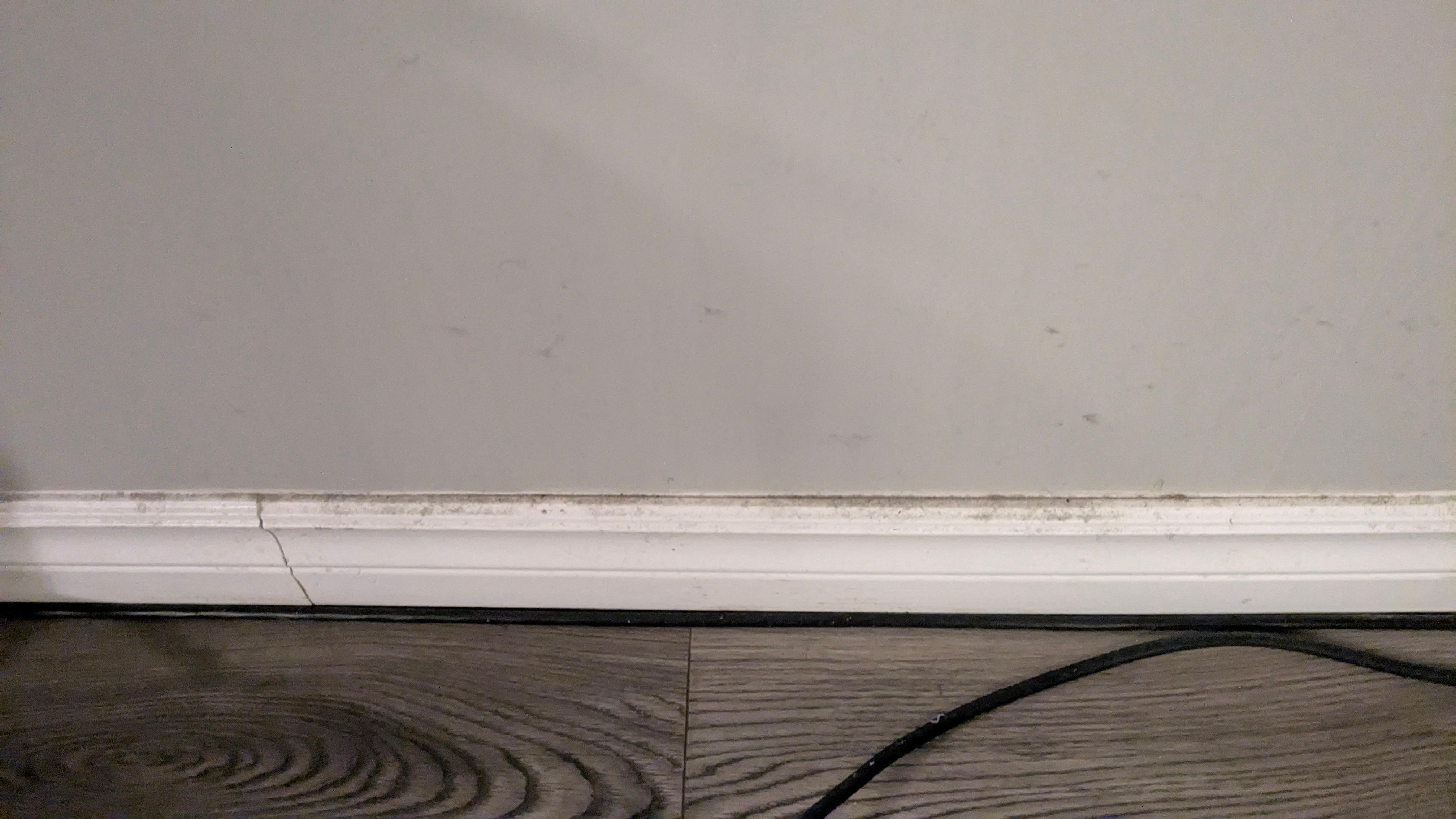 Baseboards were very dusty/dirty