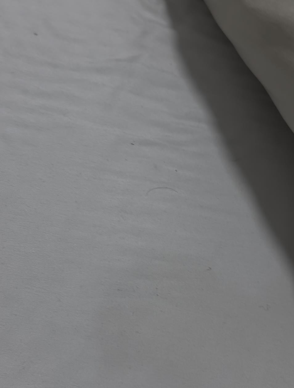 Bed had hairs in it before laying in it. 