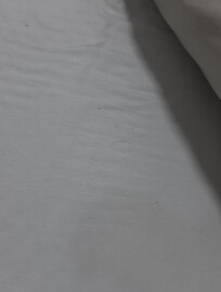 Bed had hairs in it before laying in it.